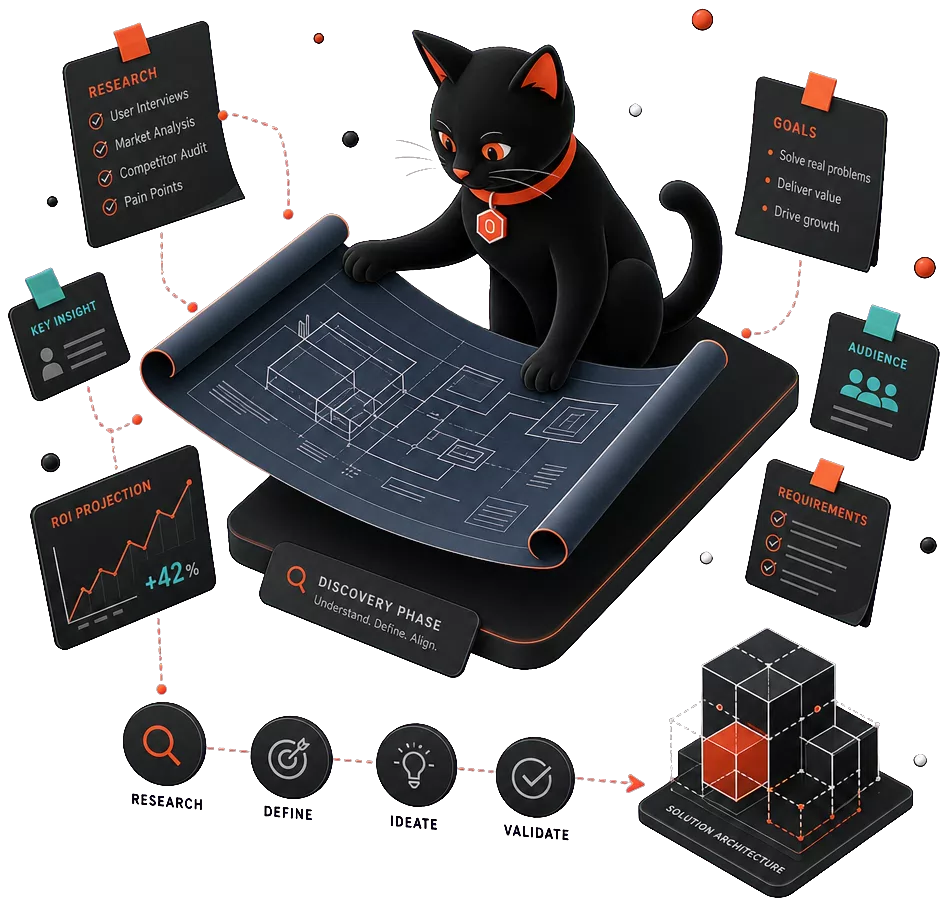 cat-discovery