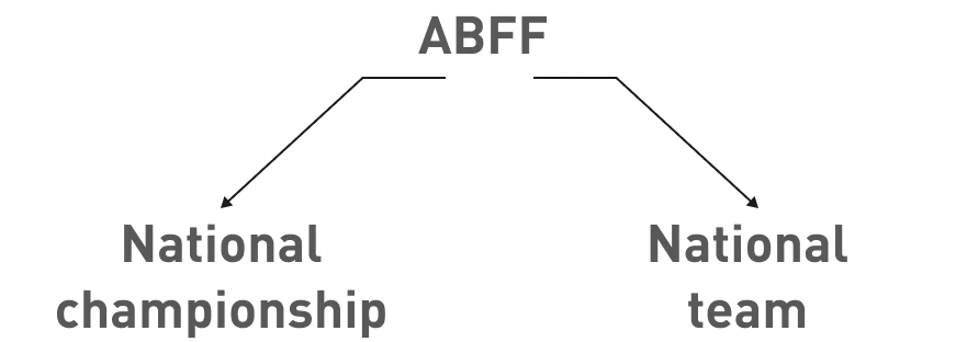 Belarusian Football Federation — 1