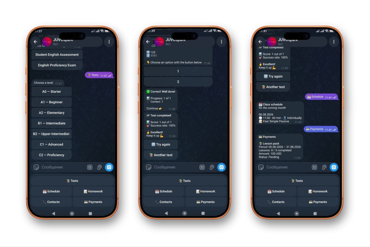 Bot interface