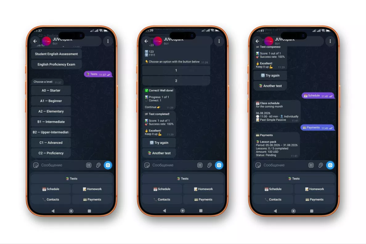 Bot interface