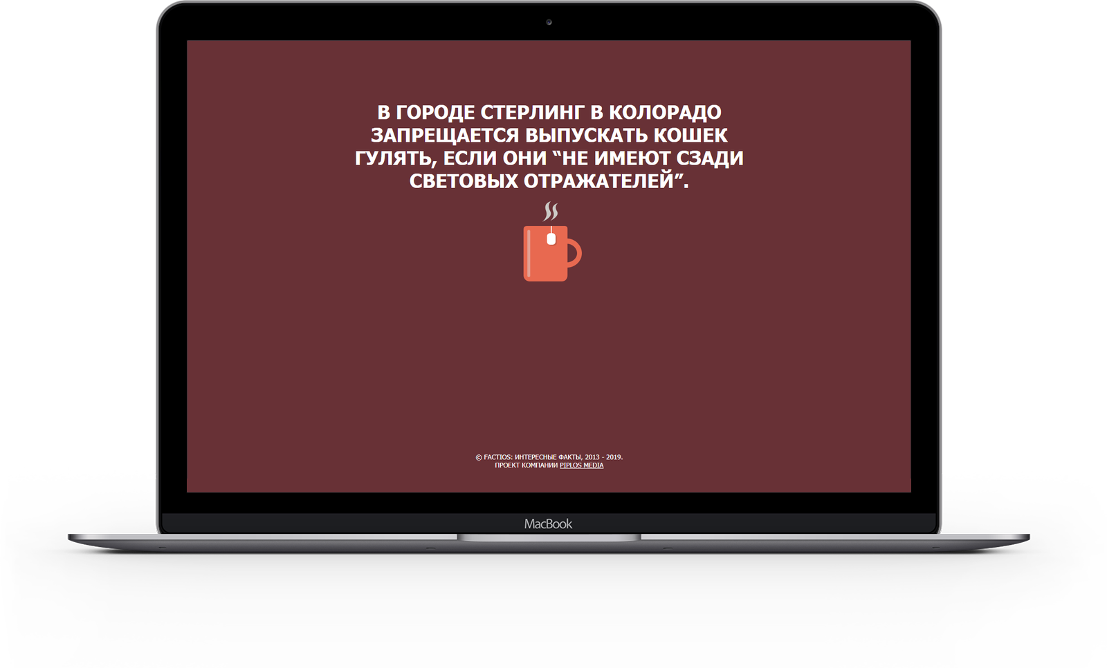 Cognitive facts — 2