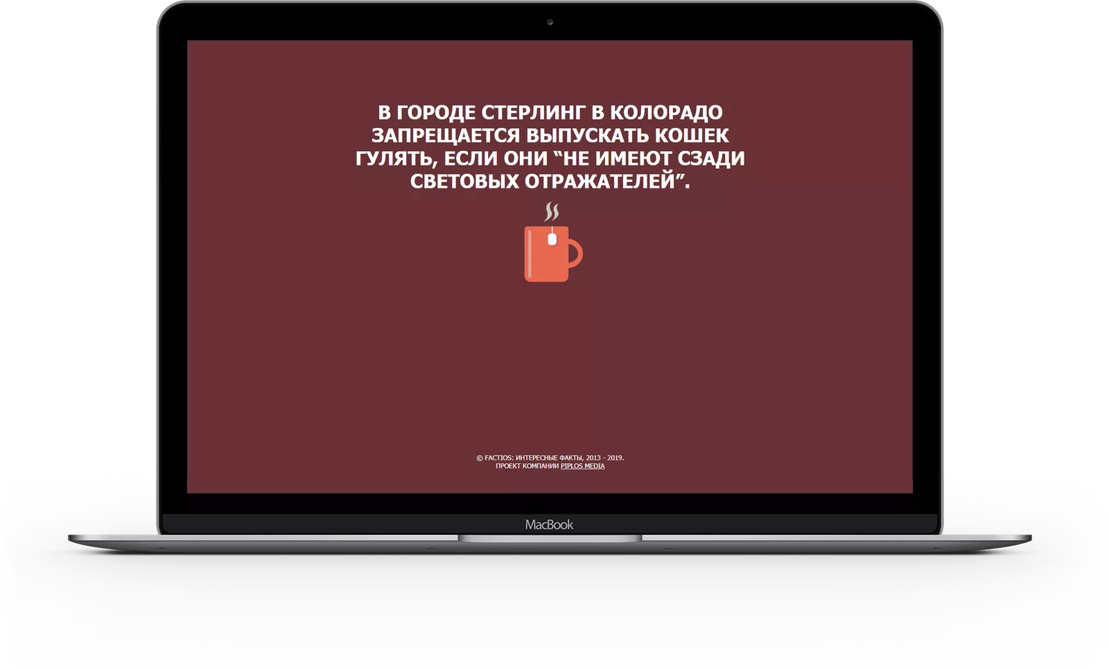 Познавательные факты — 2