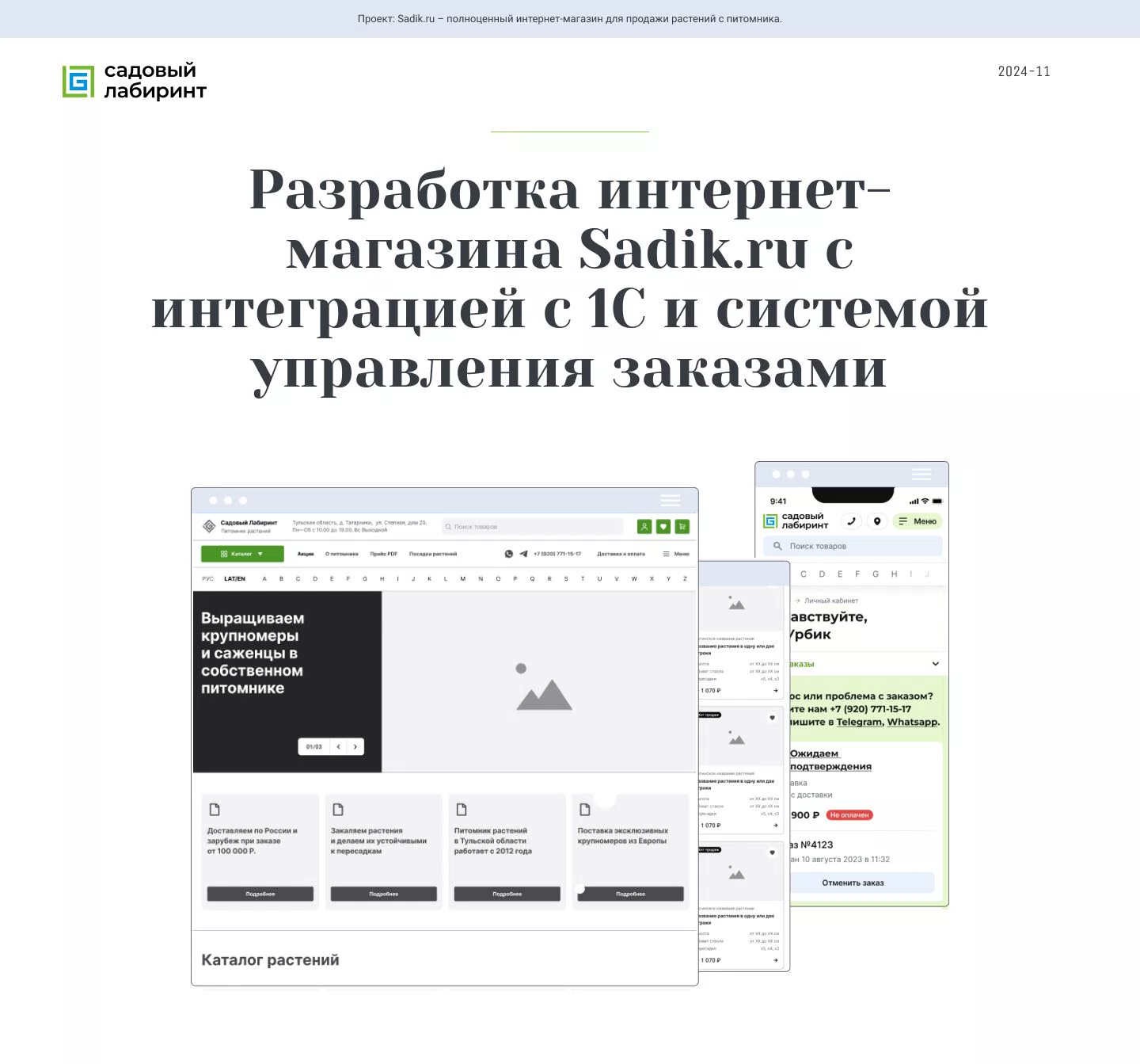 Разработка интернет-магазина Sadik.ru — 1