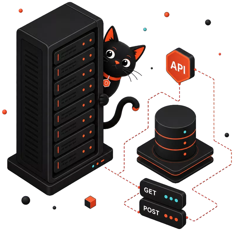 Backend and API development — Piplos Media
